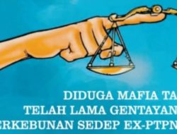 Dugaan Mafia Tanah di Perkebunan Sedep ex-PTPN VIII, Menjadi Sorotan Publik
