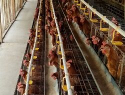 Bumdes Mandiri Desa Maroko Kec. Cibalong Menjadi Unggulan