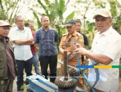 Pastikan Distribusi Air Lancar, Wakil Bupati Tasikmalaya Monitoring Saluran Irigasi Ciramajaya