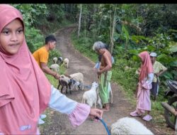 Kolaborasi Dermawan dan Wagajih Hadirkan Harapan Baru bagi Anak Yatim